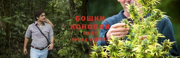 гашиш Арсеньев