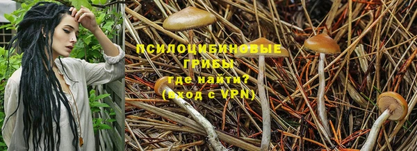 гашиш Арсеньев
