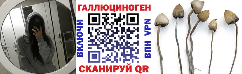 Псилоцибиновые грибы мицелий  закладка  Фокино 